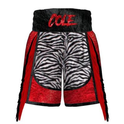 Boxxerworld Cruiser BX